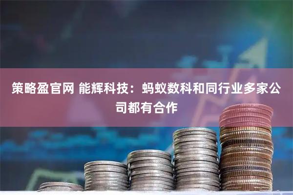 策略盈官网 能辉科技：蚂蚁数科和同行业多家公司都有合作