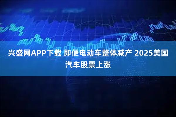 兴盛网APP下载 即便电动车整体减产 2025美国汽车股票上涨