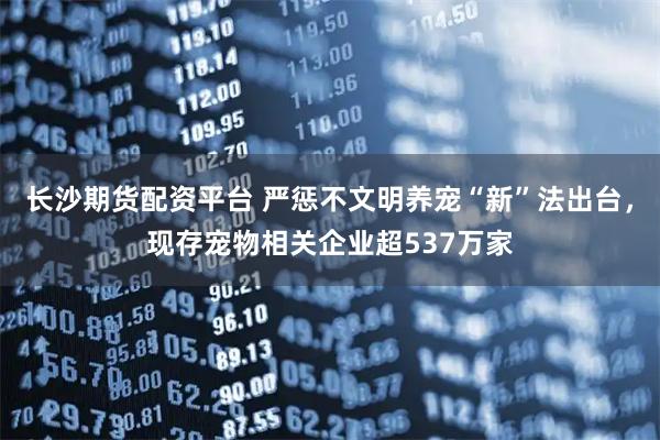 长沙期货配资平台 严惩不文明养宠“新”法出台，现存宠物相关企业超537万家