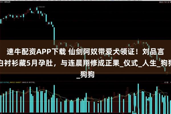 速牛配资APP下载 仙剑阿奴带爱犬领证！刘品言白衬衫藏5月孕肚，与连晨翔修成正果_仪式_人生_狗狗