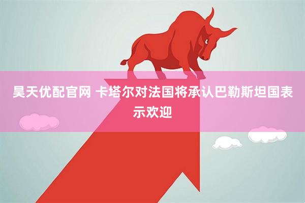 昊天优配官网 卡塔尔对法国将承认巴勒斯坦国表示欢迎