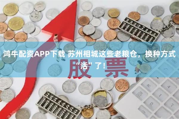 鸿牛配资APP下载 苏州相城这些老粮仓，换种方式“活”了！